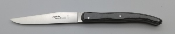 Brasserie Steakmesser Paperstone grau